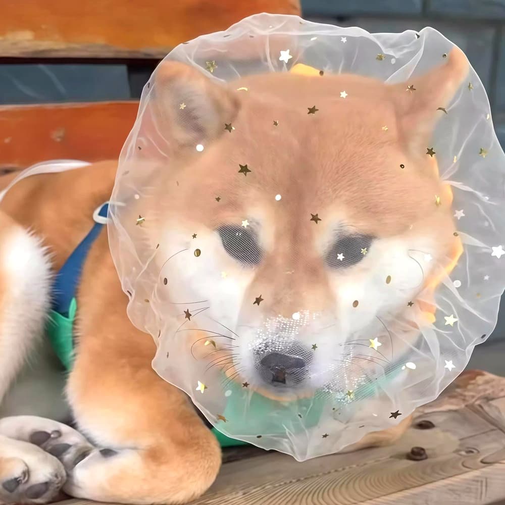 위크니카 강아지 페이스커버 얼굴망 산책망 헤드커버 망사